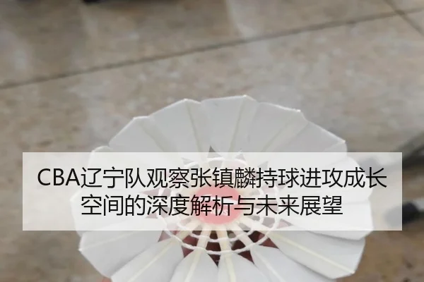 CBA辽宁队观察张镇麟持球进攻成长空间的深度解析与未来展望